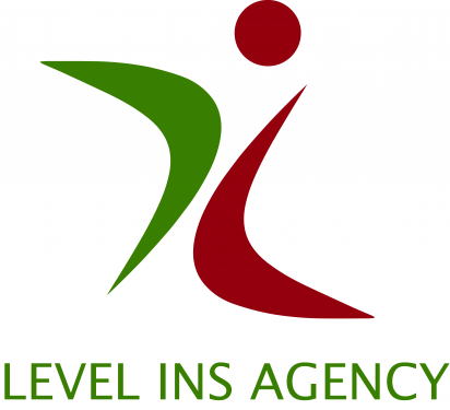 LEVEL INS AGENCY